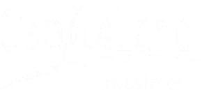 logo capitalland